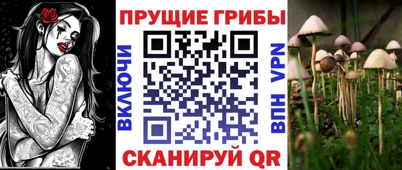 сколько стоит  Ковылкино  Псилоцибиновые грибы мухоморы 